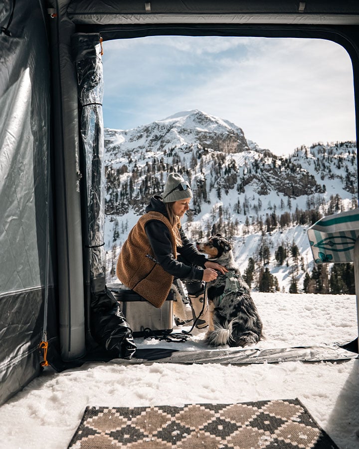 Gallery-Image Snow-Dometic-Dog