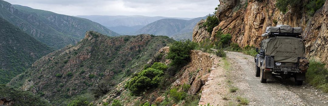 Front Runner On The Move​: Nick Jaffe