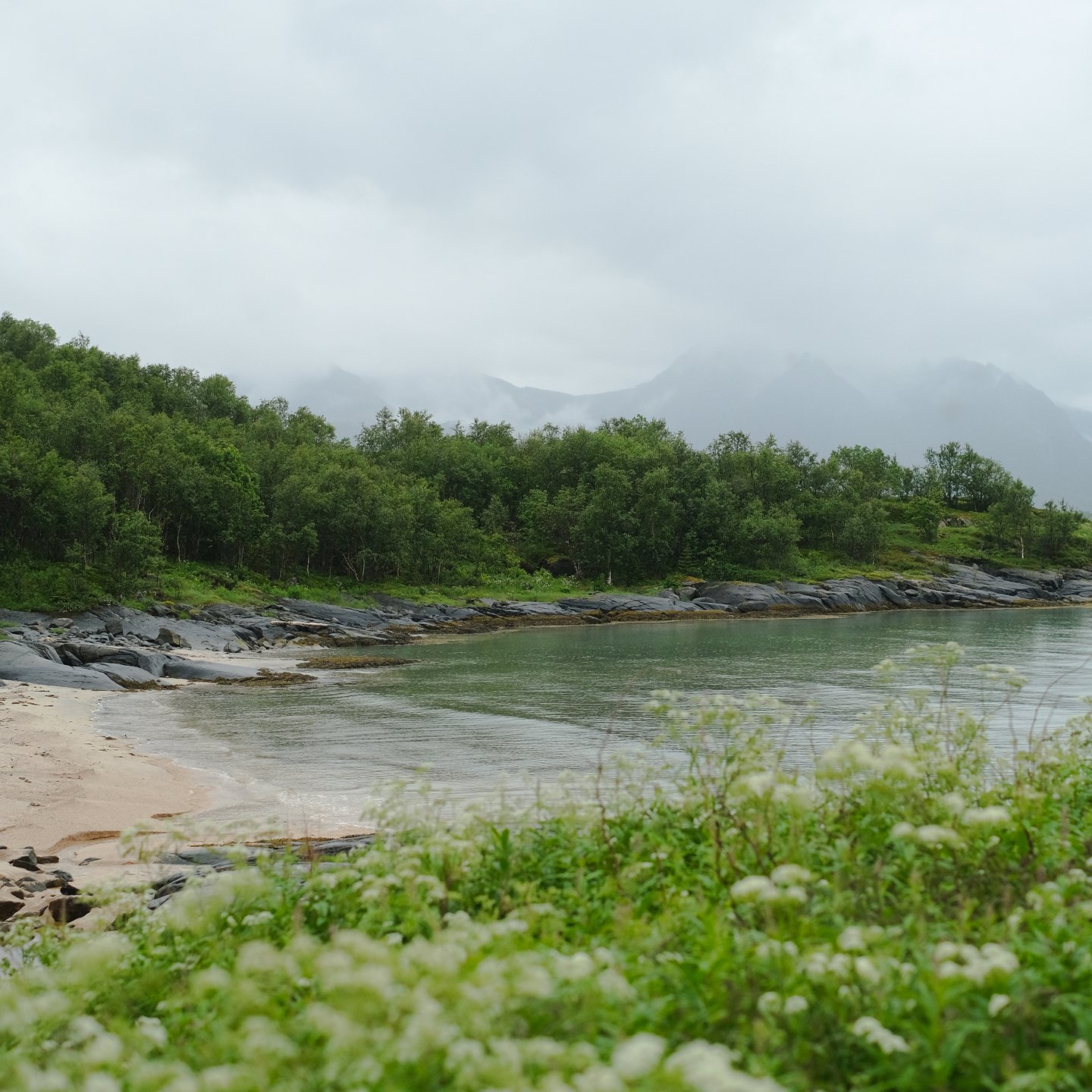 A nature scene of a lake