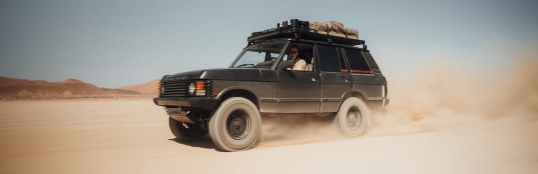 Keep Searching with David Steca