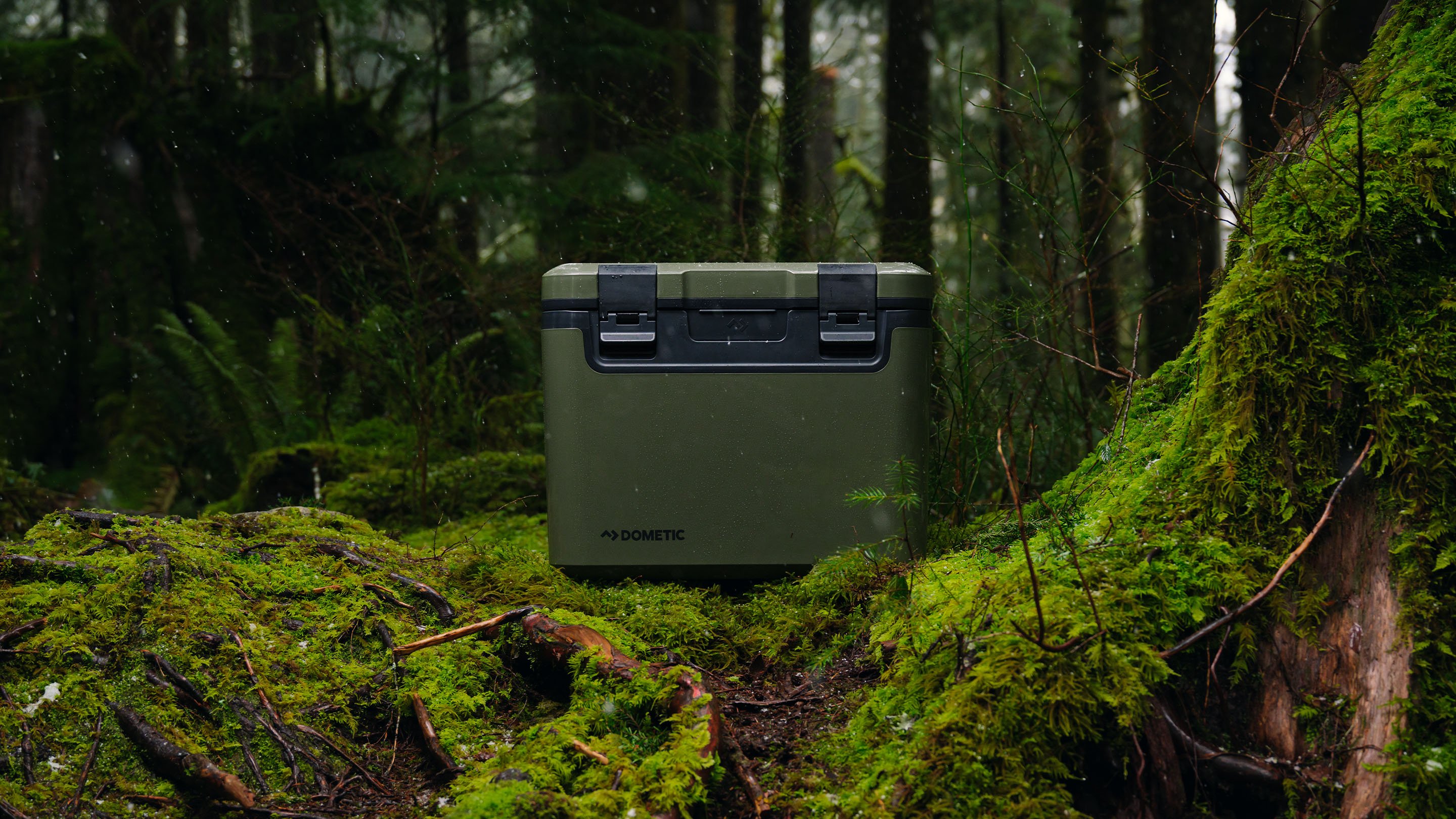 Dometic Recon passive coolers in Lichen color stacked in forest, durable ice chests for outdoor camping and adventure travel