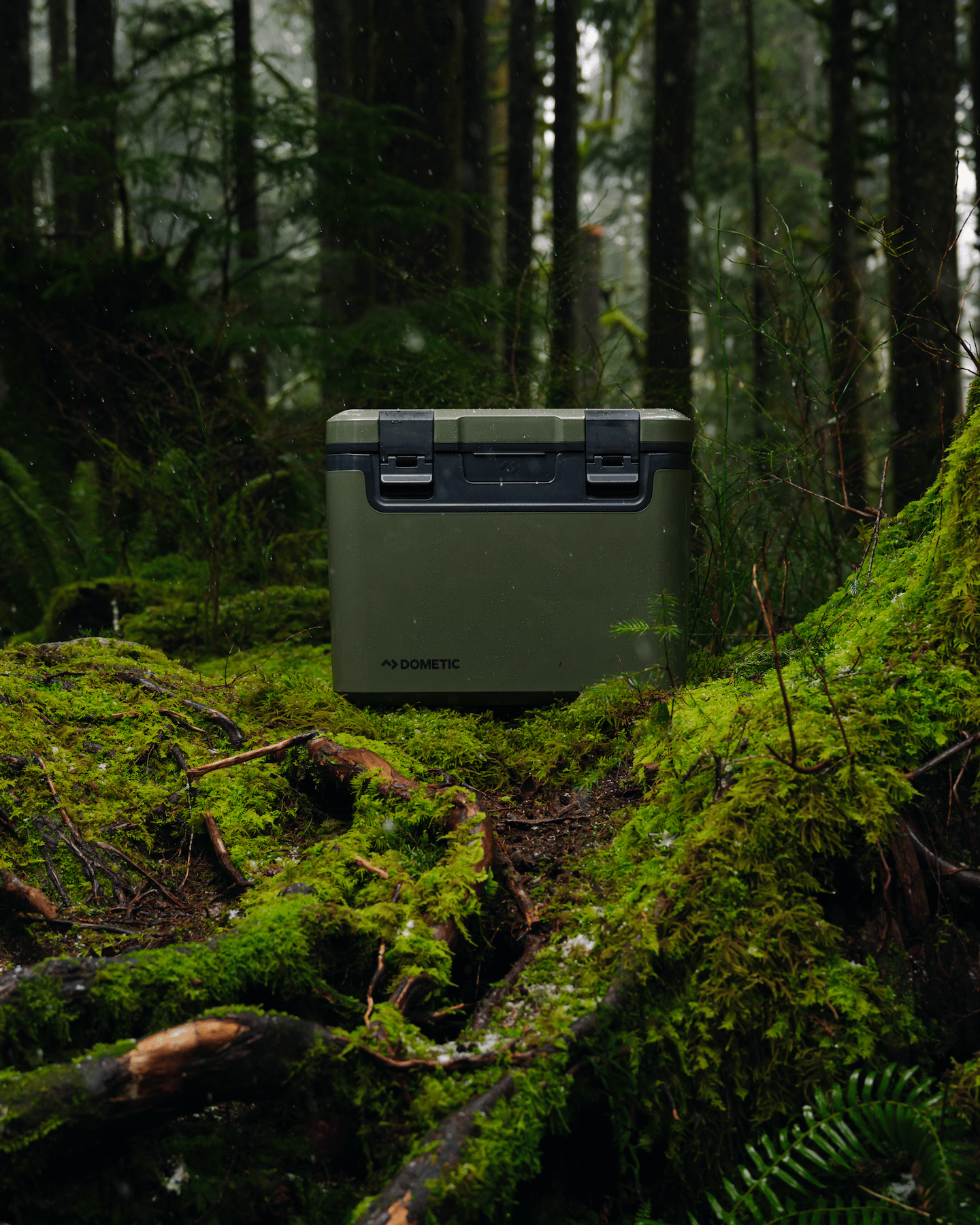 Green Recon cooler in middle of forest background. 