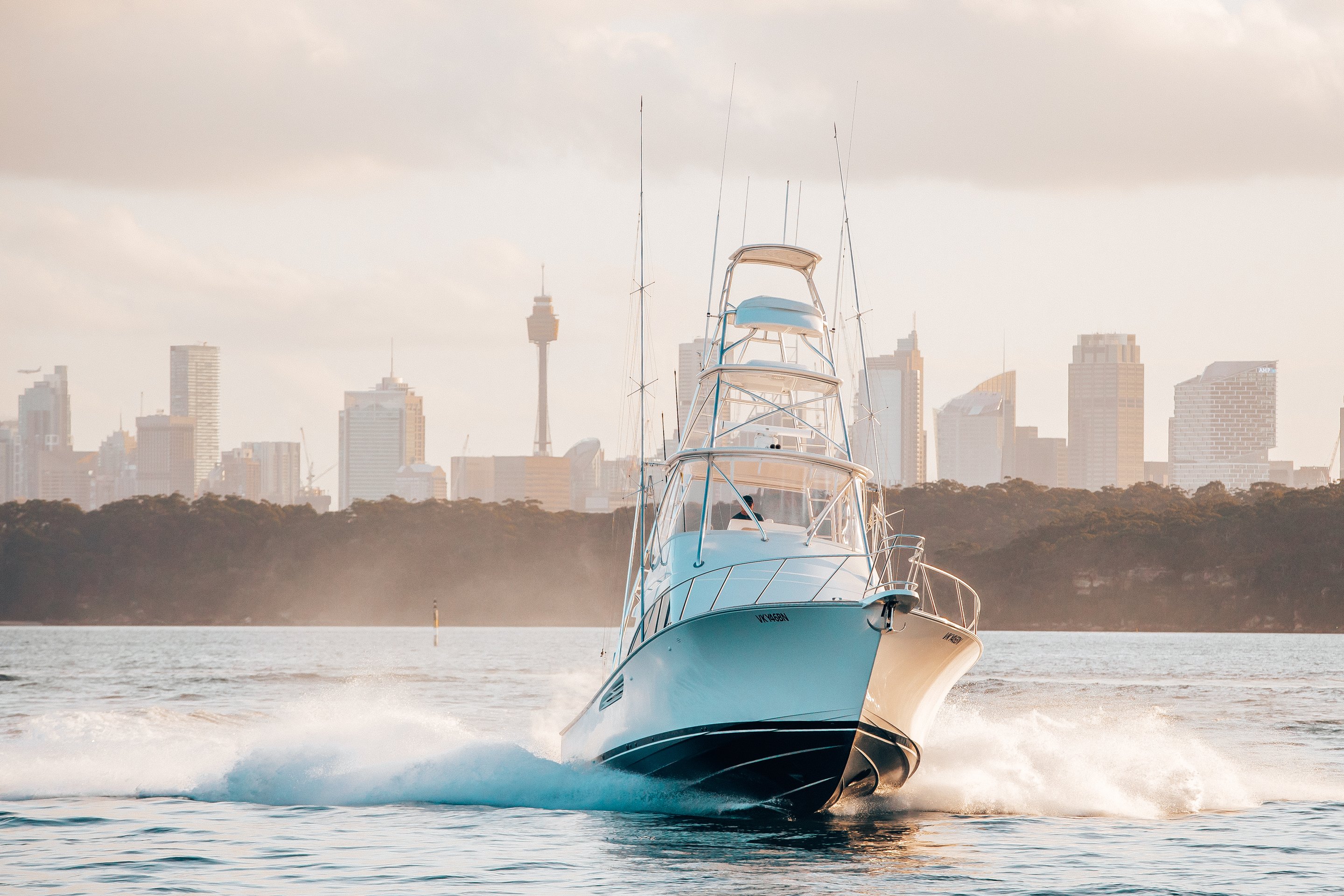 Image - Viking Billfish