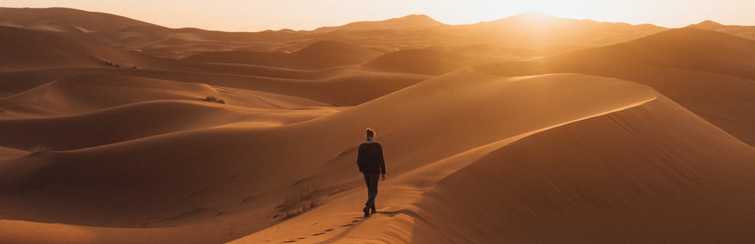 Keep Searching with David Steca