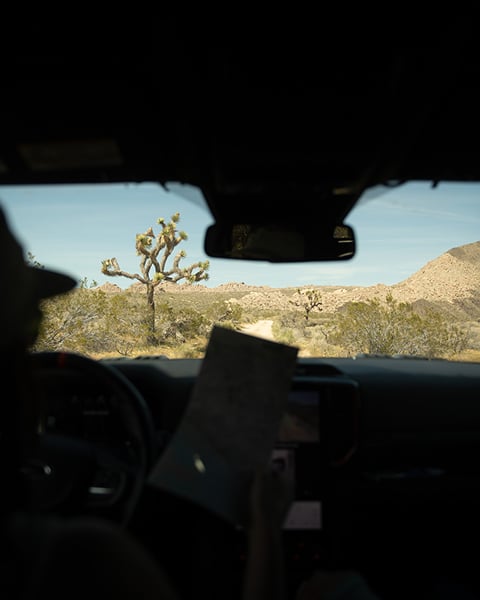 Renee Lusano media 3