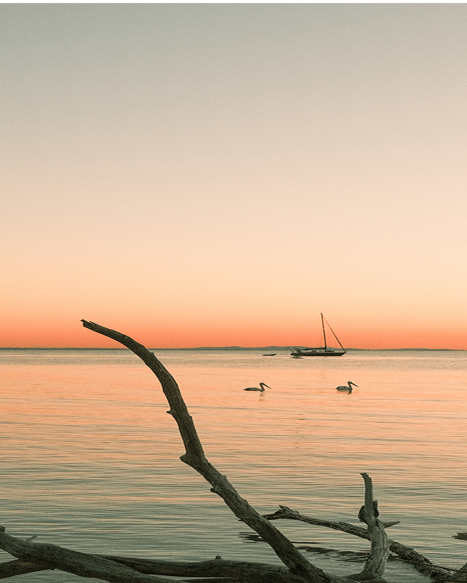 Soaking up golden-hour views from the Dometic Parked to Park campsite on North Stradbroke Island.