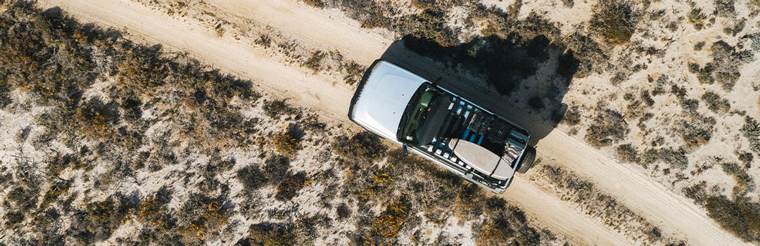 FRONT RUNNER ON THE MOVE – DALE STAPLES​