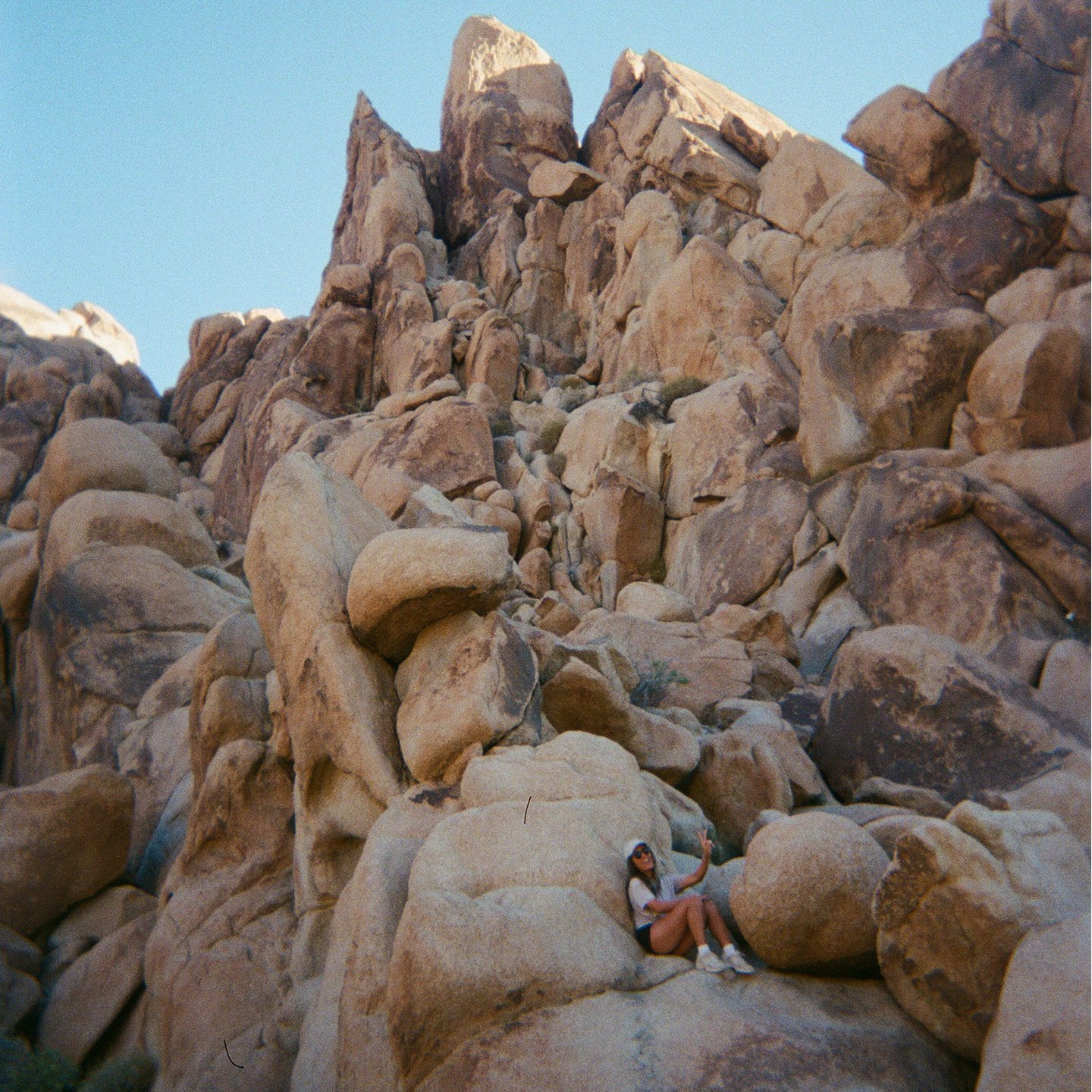 P2P Tiffany Nguyen media 5