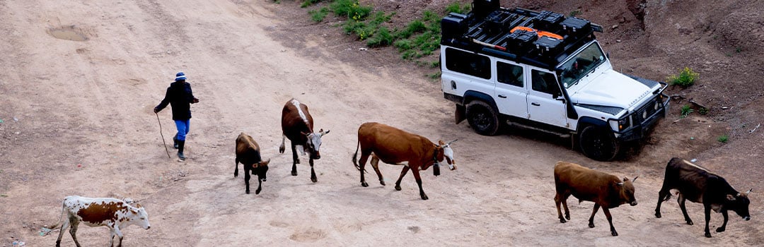 TRAVEL PHOTOGRAPHY TIPS FROM THE PROS