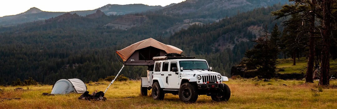 I NEVER LEAVE HOME WITHOUT…