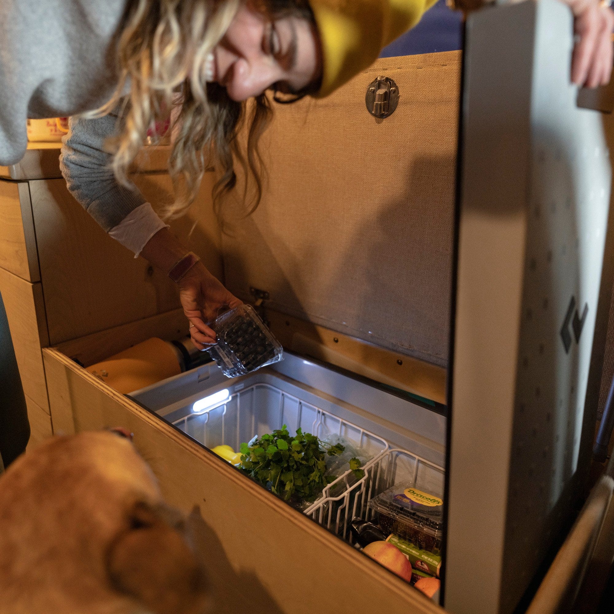 fresh food inside powered cooler