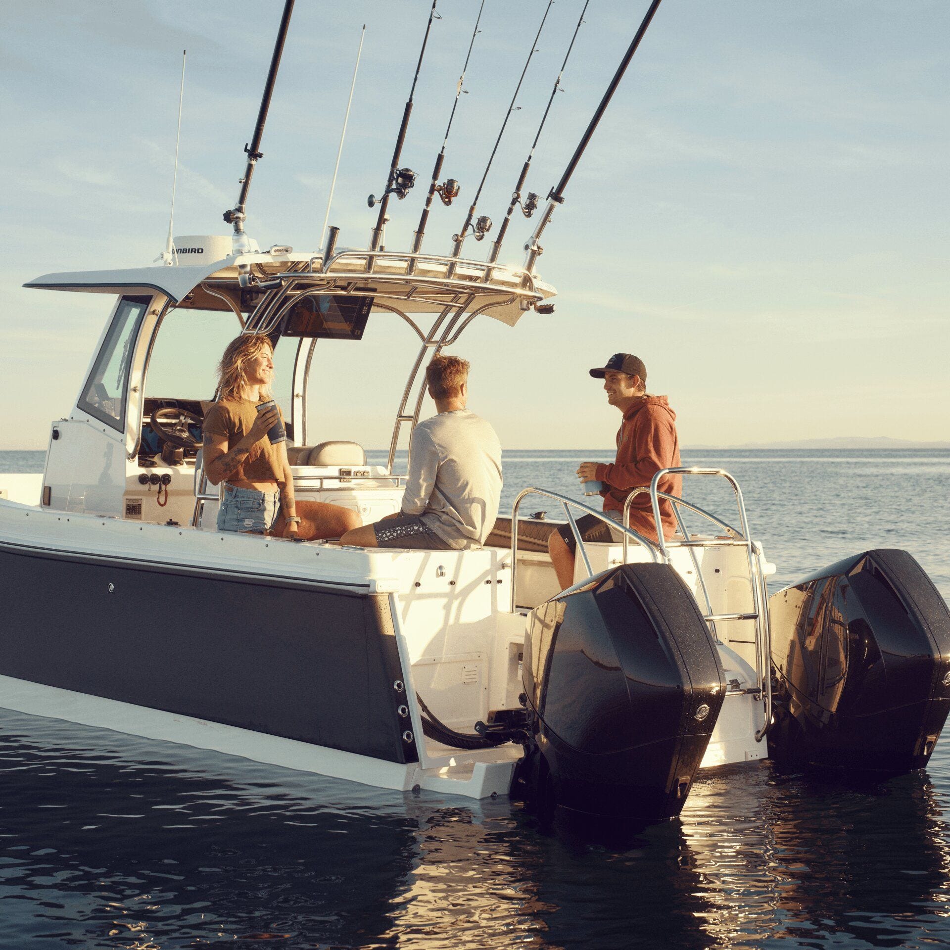 Dometic Optimus 360 Joystick