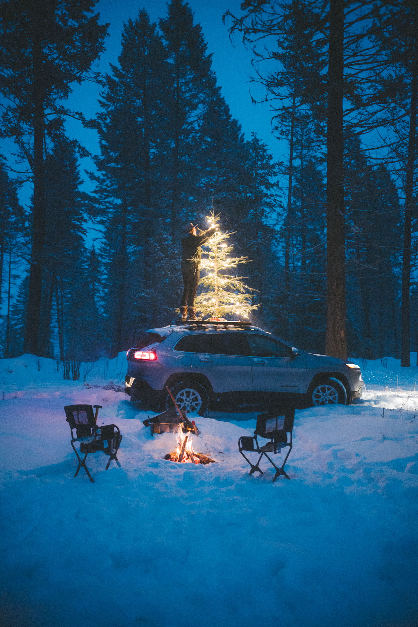  Roof Top Christmas Tree At Night