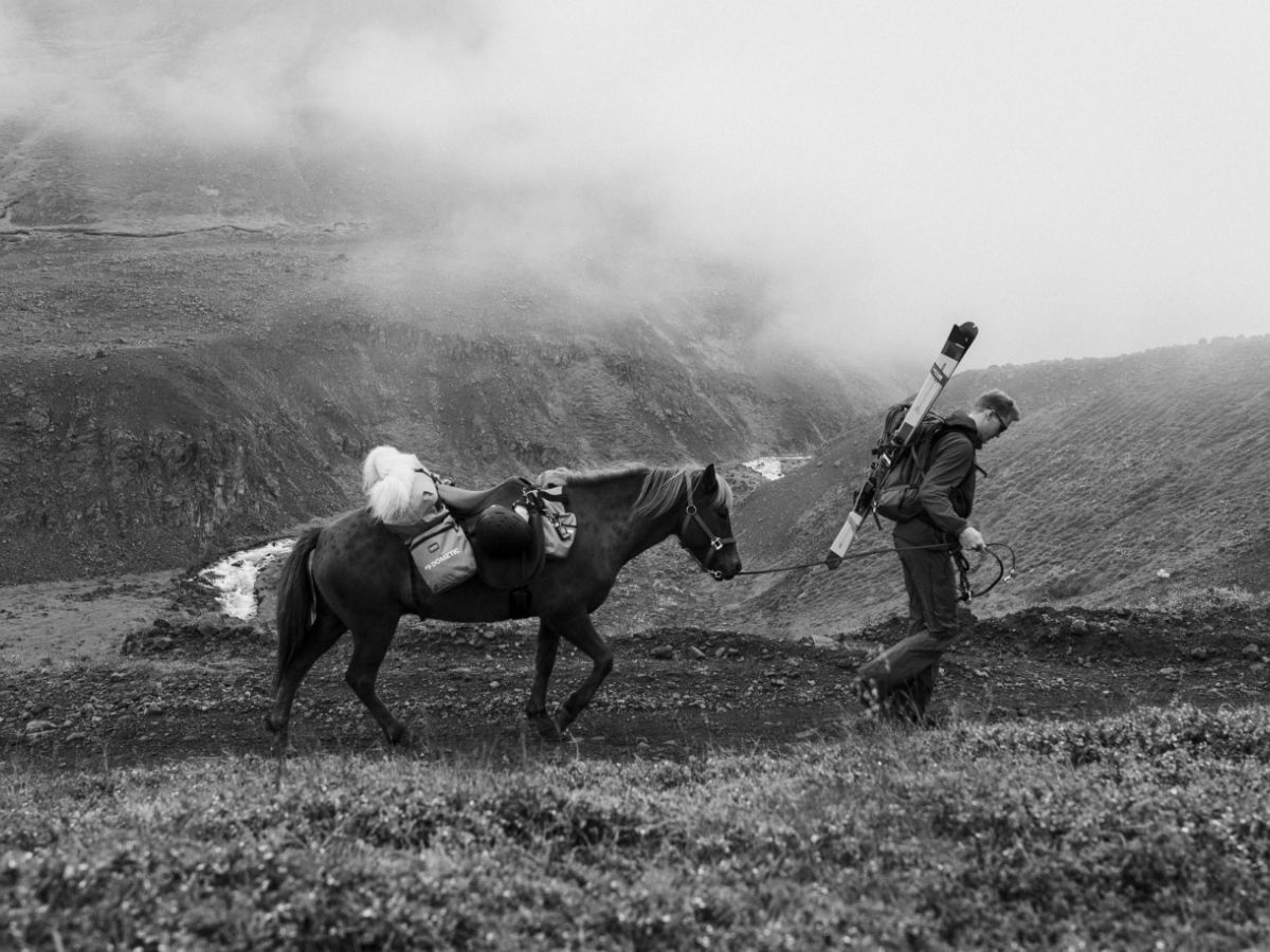 A man with a horse