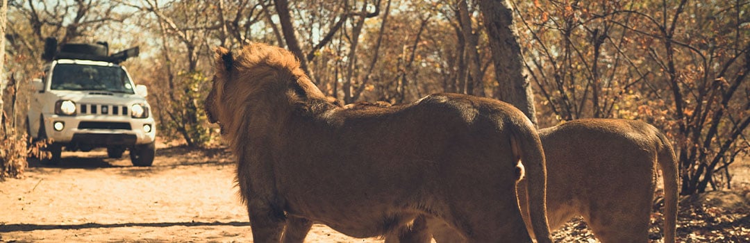 HOW TO SAFELY CAMP OFF THE GRID