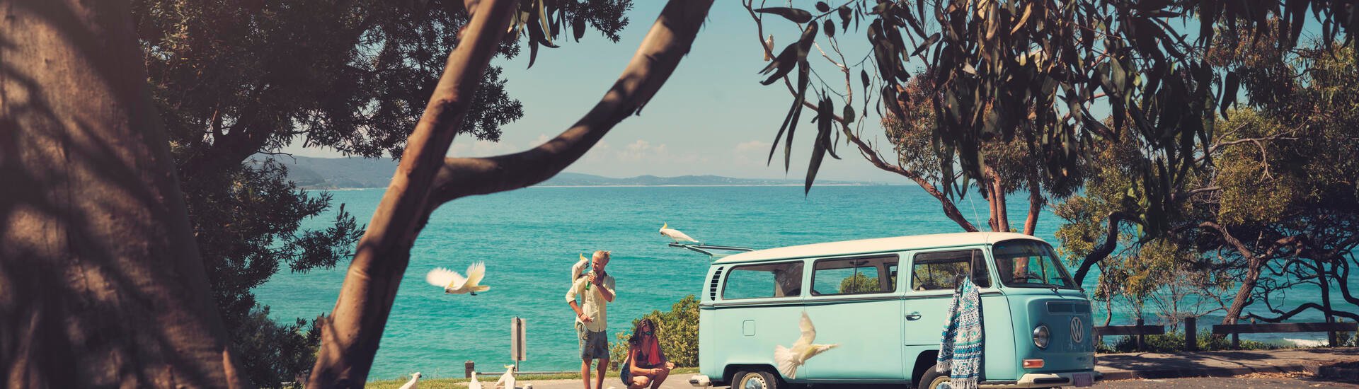 Migrated from Optimizely: vw_parrot.jpg | Source: https://epi.dometic.com/globalassets/news/road-to-adventure/vw_parrot.jpg?ref=A22BC26083