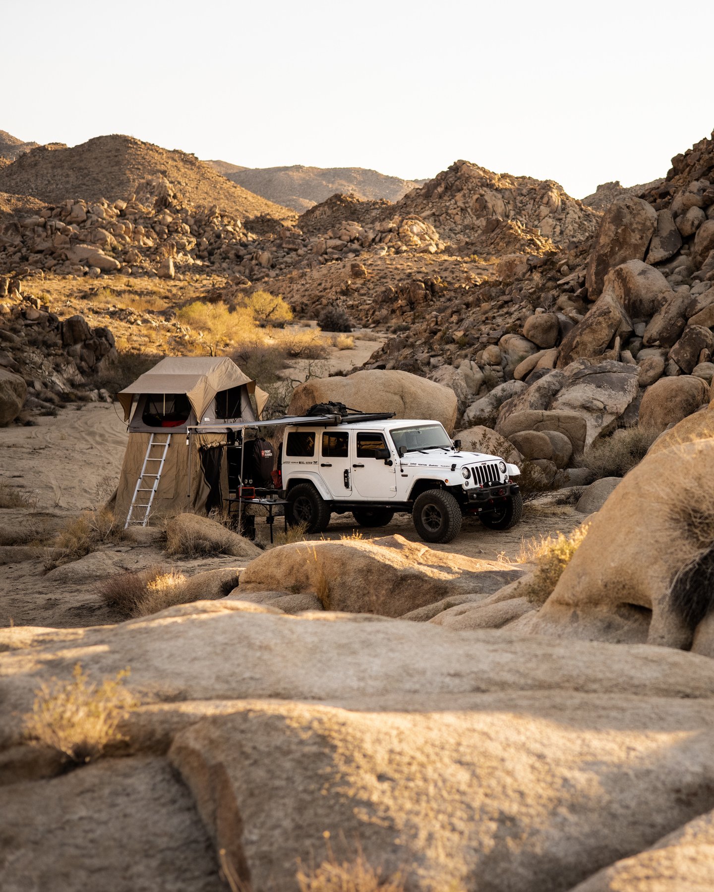 1440x1800 Highlight Standing Crop Woman Driving Car Summer