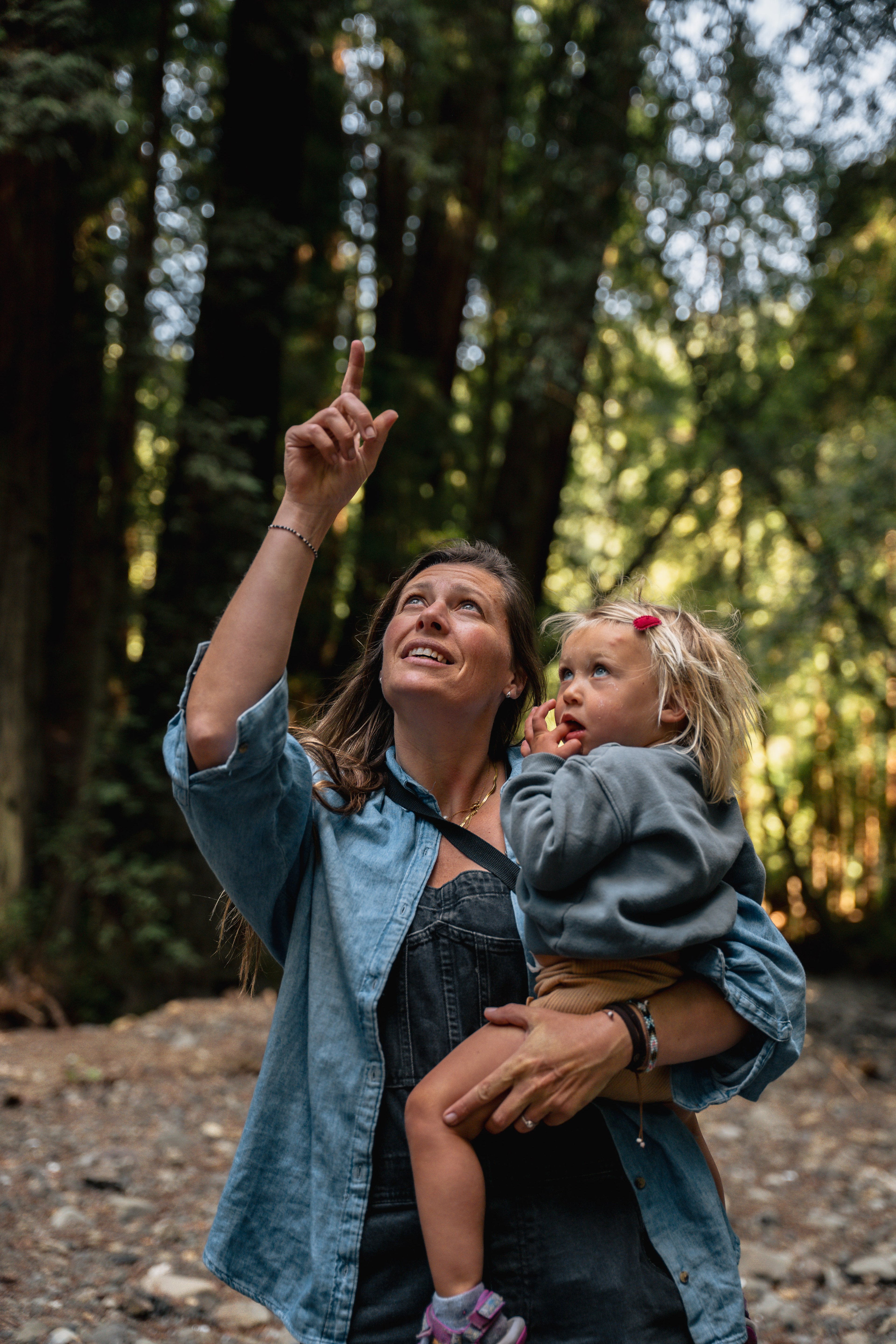 The Amaro Family media 7