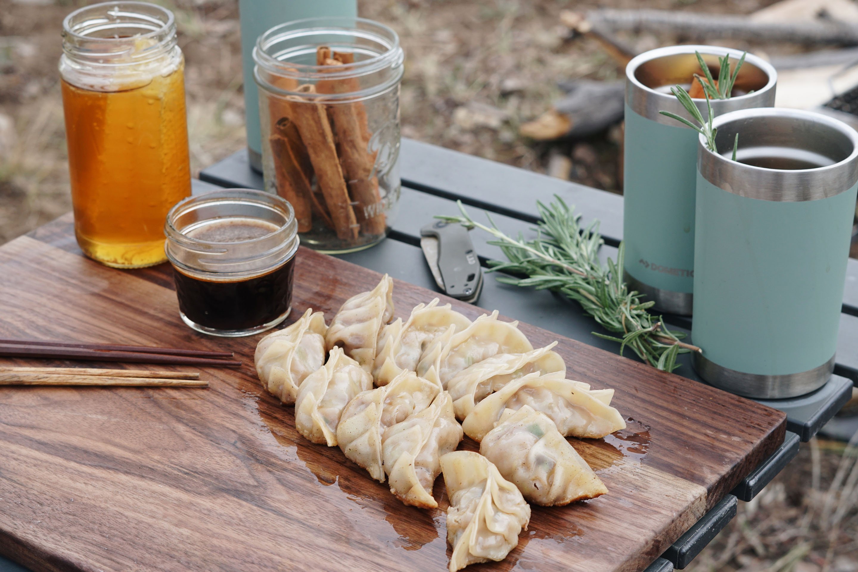 Elk Gyoza Recipe