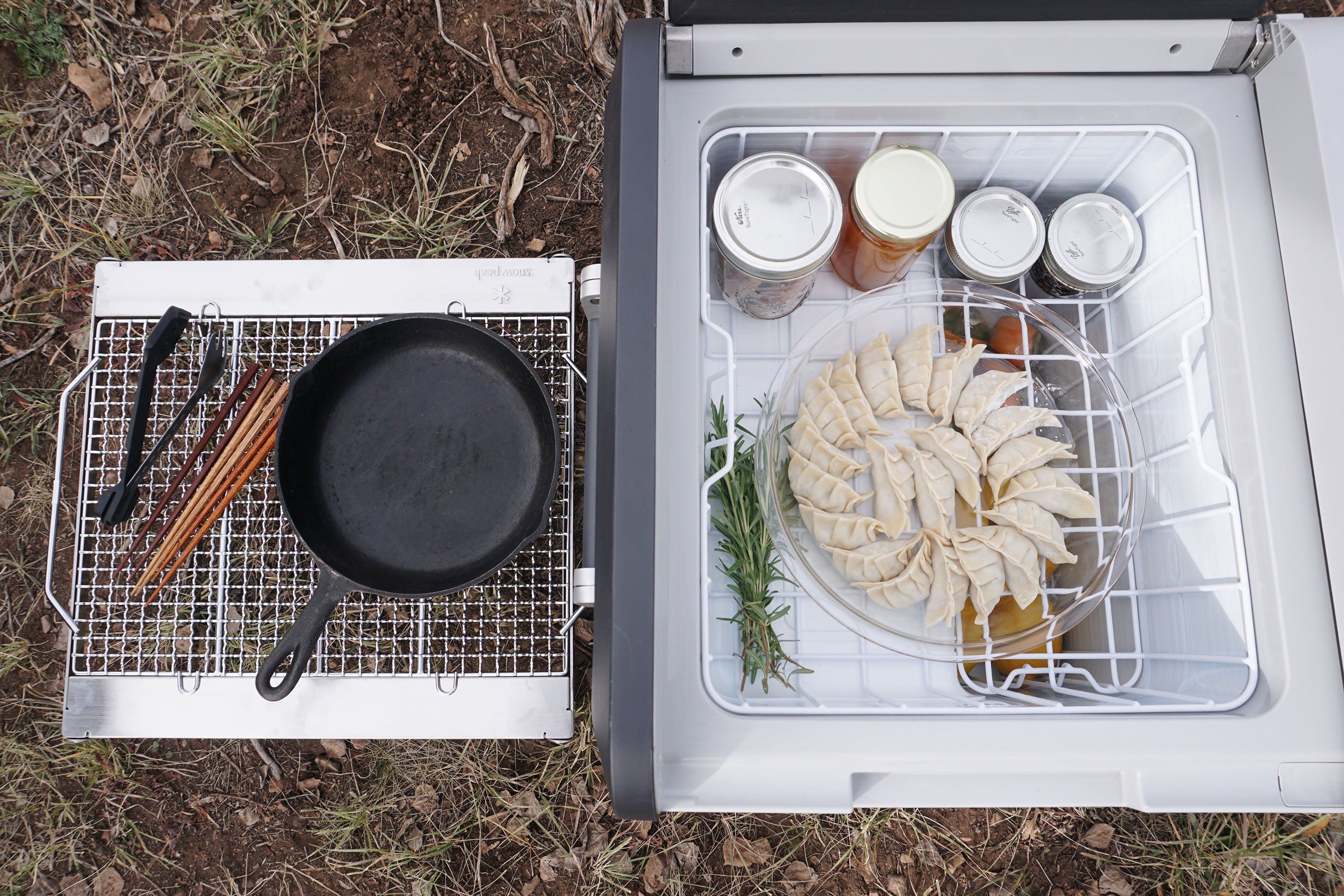 Elk Gyoza Recipe