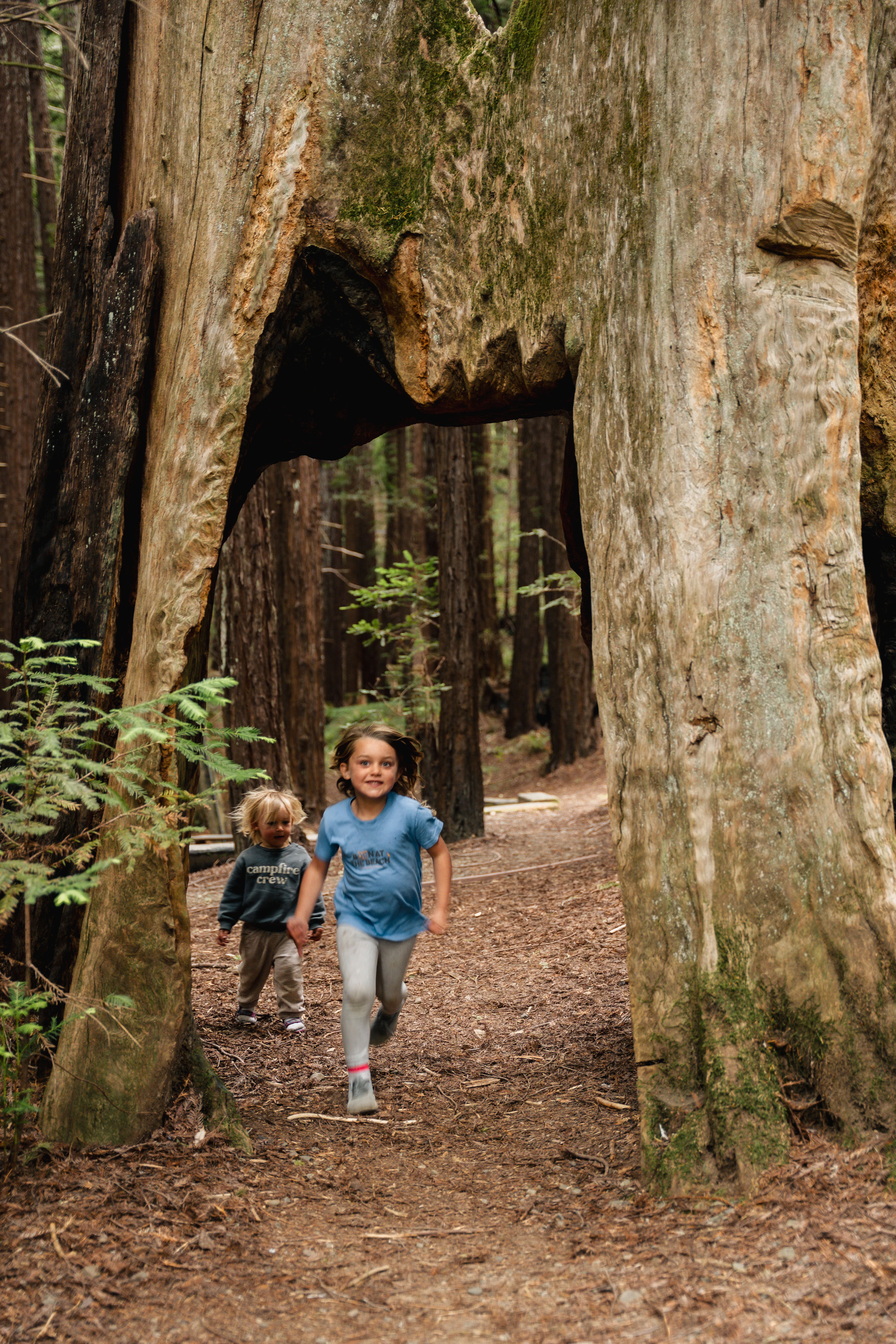 The Amaro Family media 11