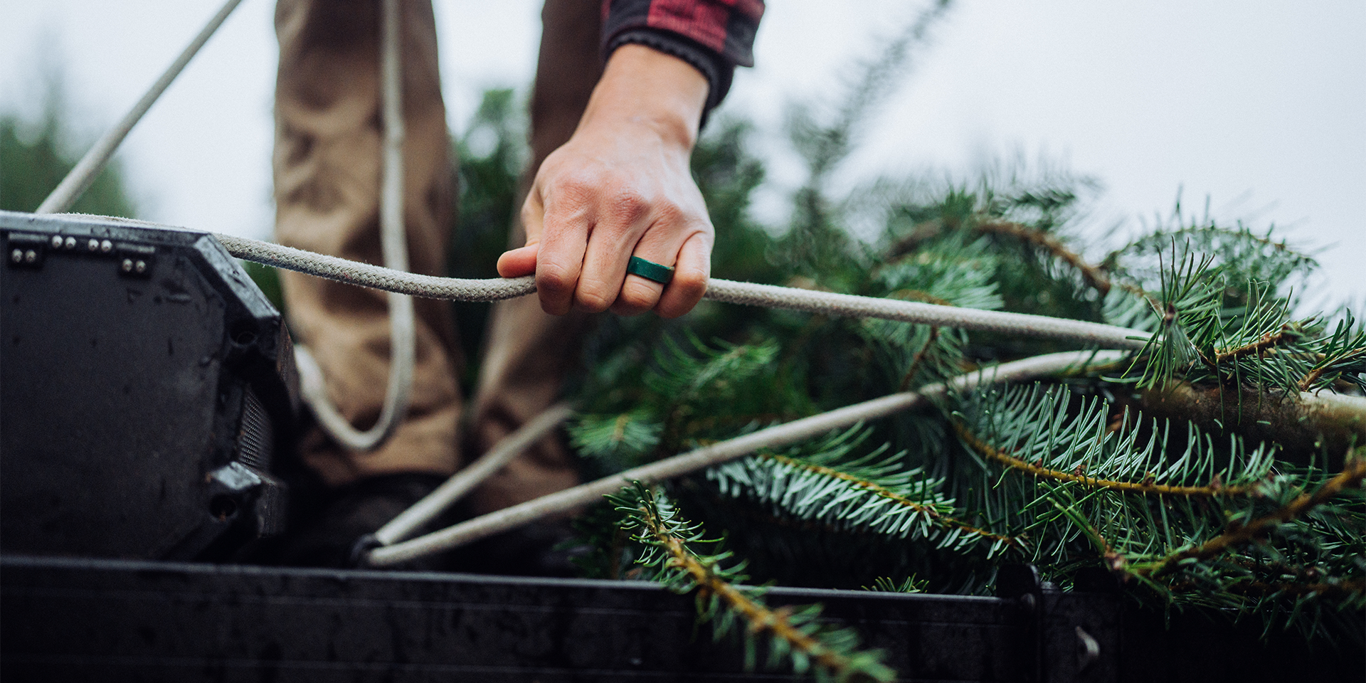 Front Runner Dometic Roof Rack with Christmas Tree