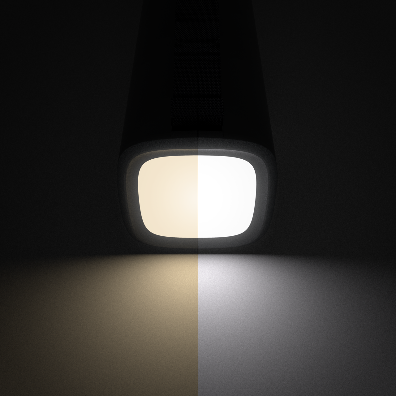 Dual-function Flashlight