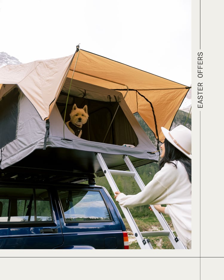 Daktent op een voertuig in een bergachtig buitengebied, met een hond in de tentopening en een persoon die de ladder vasthoudt.