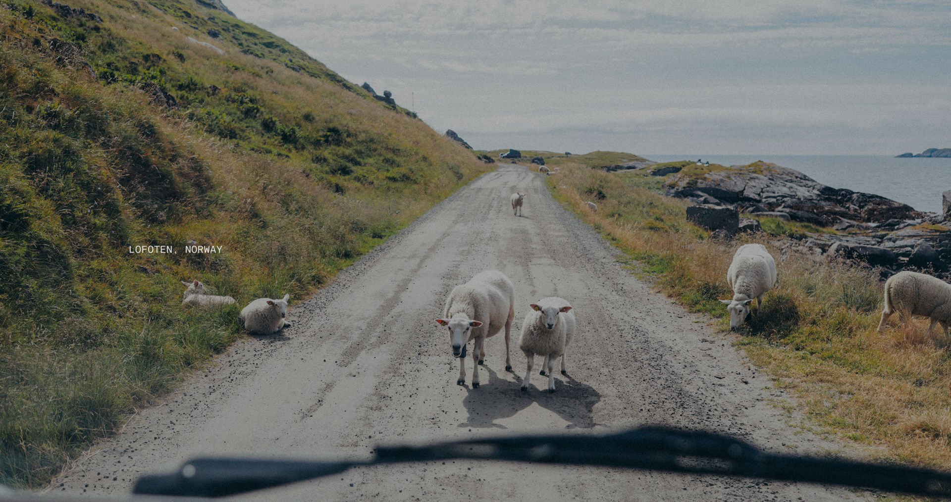 A road in Lofote in Norway
