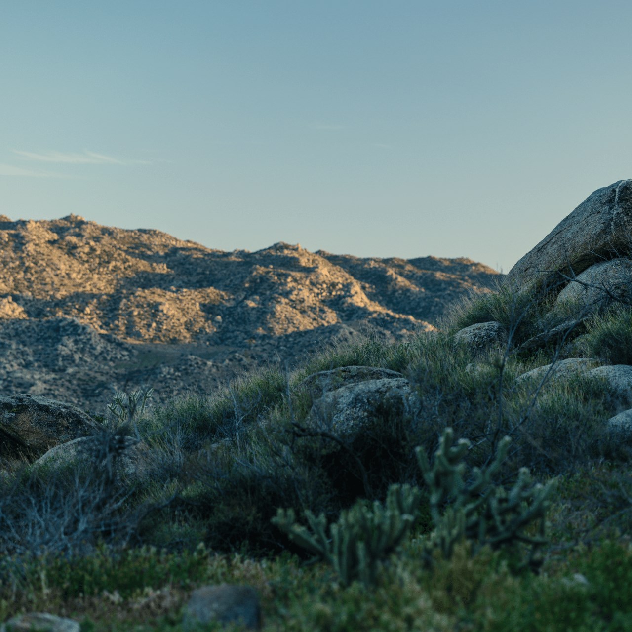 Landscape photo of Anza-Borrego Desert.